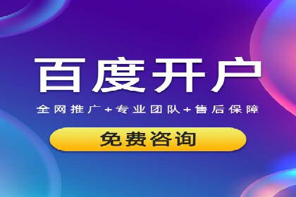 搜索引擎营销（SEM）的精准投放技巧案例